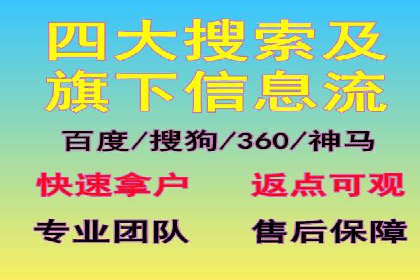 SEM代理操作技巧：成功案例揭秘